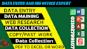 data entry and ms office expert