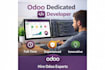 odoo implementation, customization, and technical support