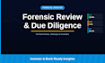 do forensic financial analysis and due diligence