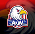 design a professional eagle mascot logo with high quality