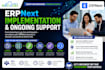 do erpnext development and implementation