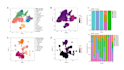perform any bioinformatics and machine learning analysis