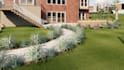 show you 3d yard renderings