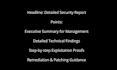 provide a comprehensive vapt report for your web application