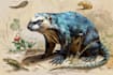 draw animals in scientific illustration digitally