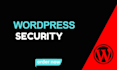 clean wordpress malware, virus and provide full security
