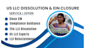 dissolve US llc, close ein, file llc dissolution, reinstatement, filling
