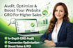 audit, optimize and improve your website cro