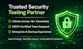 do penetration testing, vulnerability assessment and provide website security