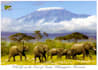 send you a beautiful postcard from tanzania