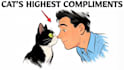 animated cat explainer videos like felune