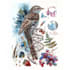 draw a scientific illustration