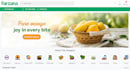design shopify store, shopify website, shopify dropshipping store