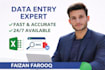 do data entry, copy paste, web research and excel tasks professionally