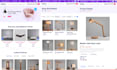 build mern stack web developer web app development