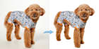 do professional image cut out, background removal, and alpha masking