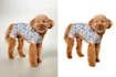 do professional image cut out, background removal, and alpha masking