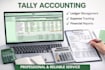 do accurate data entry and excel and tally work