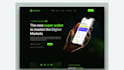 develop a secure payment app, digital wallet app, fintech app with modern UI UX