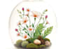illustrate best botanical illustration