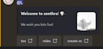 create a professional discord server with bots and full setup