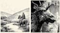 create pen and ink drawings and custom illustrations