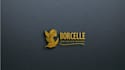 design a modern favicon and logo for you
