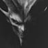 draw dotwork detailed dark art, monster, horror illustration