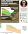 do professional structural analysis and design using programs and soil analysis