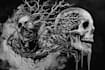 draw dark art illustration