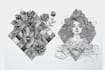 create your beautiful zentangle illustration