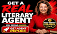 traditionally published your book, find literary agent, write query letter