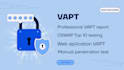 do advance penetration on web site, pen test server and vulnerability assessment