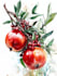 illustrate best botanical illustration
