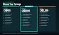 build your web app, saas mvp, internal tools