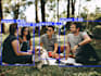 build a custom object detection and counting system using yolov8 and opencv