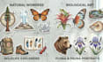 design custom stickers, vector stickers and badge logo