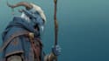 dnd, fantasy character and dnd characters