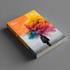 design a professional flyer