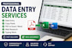 do accurate data entry, copy paste,pdf to excel web research
