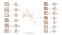 design presentations, infographics or boards