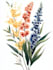 design a botanical illustration