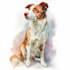 draw watercolor pet portrait