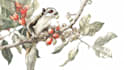 draw an animal and botanical illustration