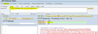 provide sap abap support debugging enhancements ricefw odata