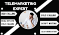 do b2b telemarketing, cold calling, virtual assistant, appointment setting