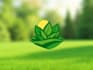design lawn care and landscaping logo