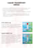 create any brochure professionally in canva