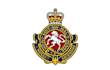 do embroidery digitizing logo, digitize image for embroidery design