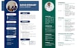 professional ats resume and CV writing service
